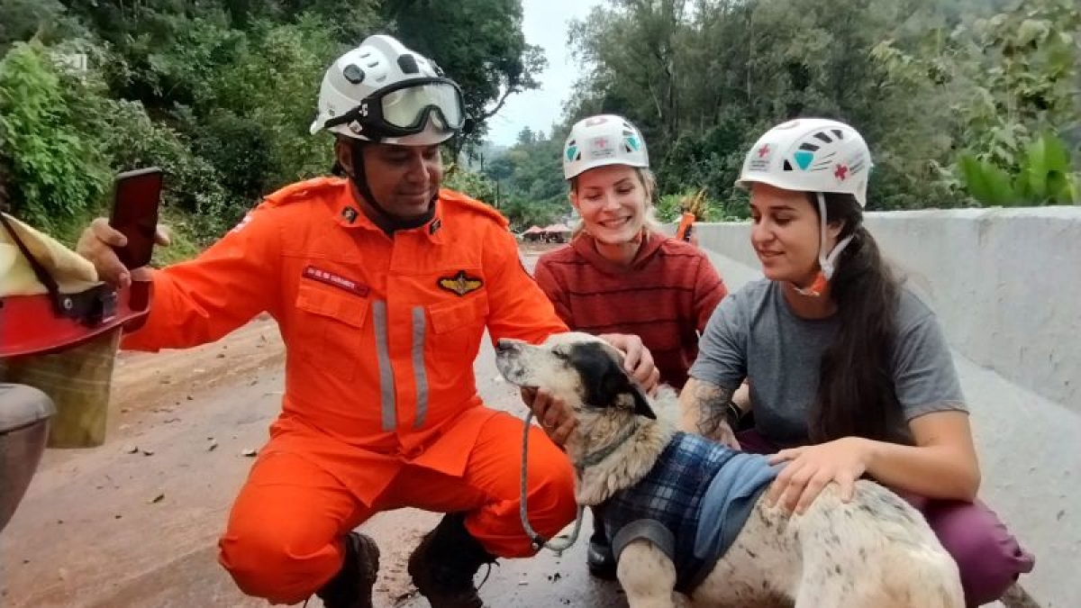Bombeiros baianos já resgataram mais de 160 vítimas das chuvas em diferentes regiões do Rio Grande do Sul — imagem 2
